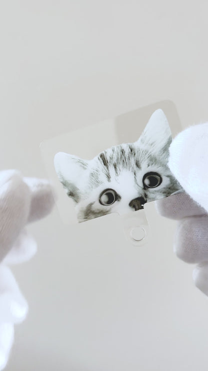 かわいい猫のストラップホルダー
